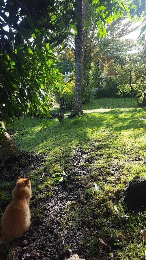 Vacances Bien Etre Guadeloupe Bouillante Exterior foto