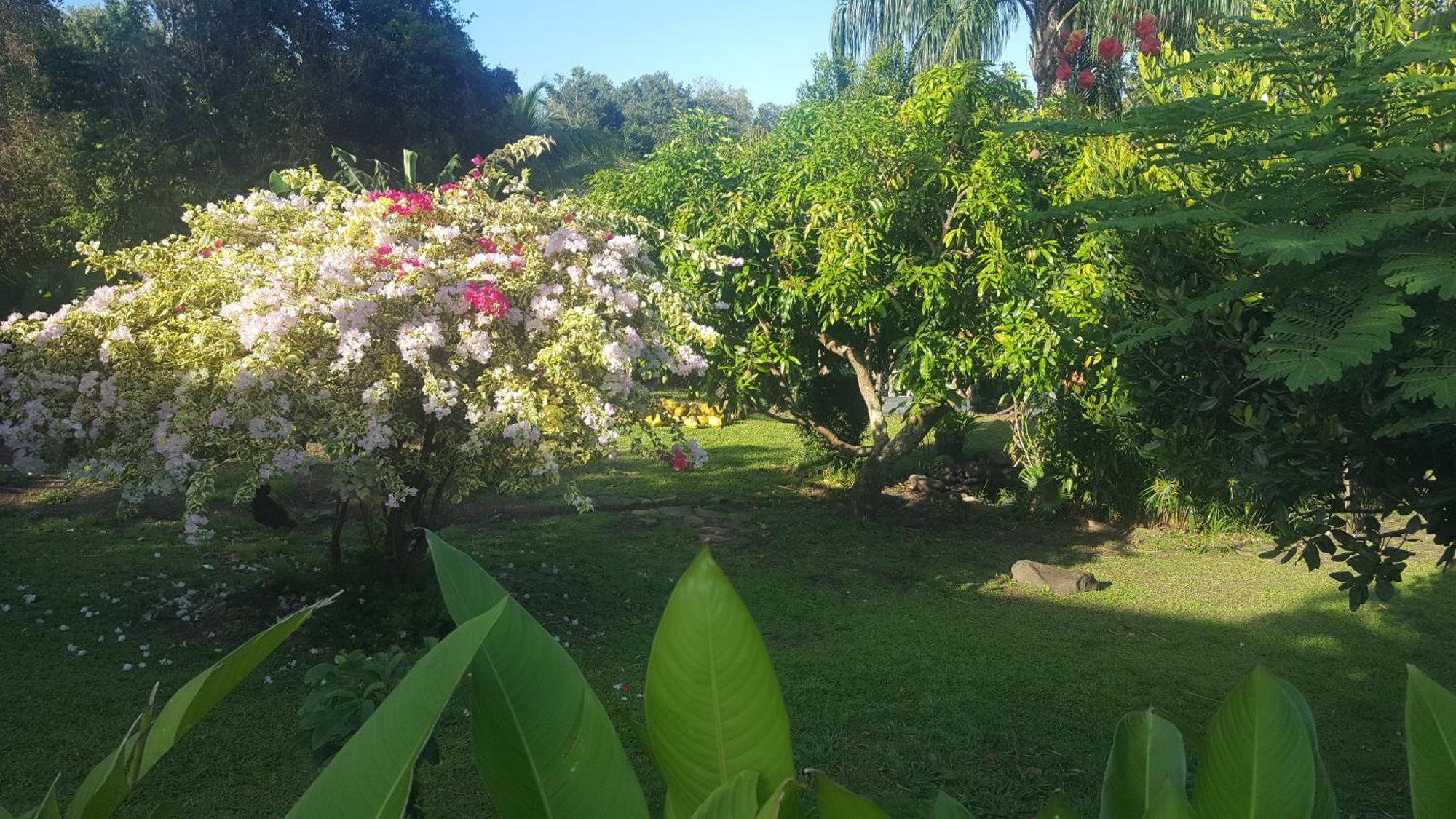 Vacances Bien Etre Guadeloupe Bouillante Exterior foto